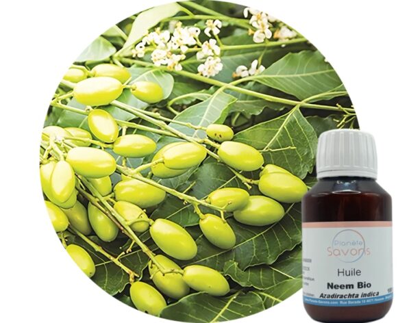 Huile de Neem Biologique Certifiée Cosmos – Image 2