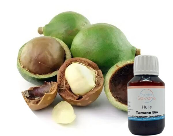 Cosmos Certified Organic Tamanu Oil - Image 2