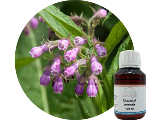 Repairing & Revitalizing Comfrey Macerate - Image 2