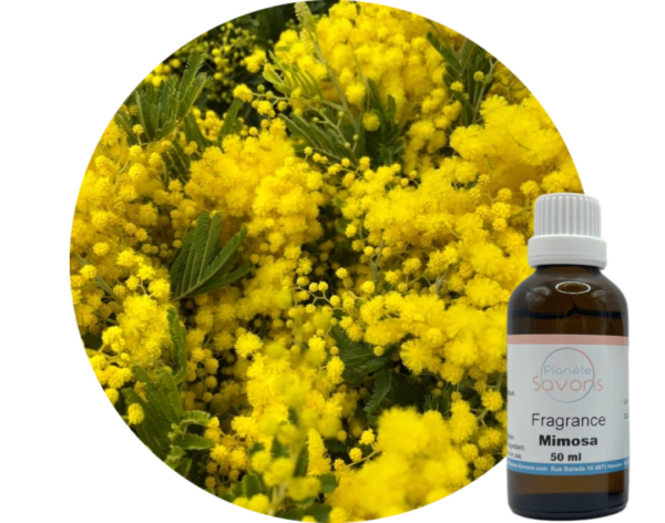 Fragrance Mimosa